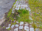 GFUN – Inspektionsrundtur 2014