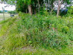 GFUN – Inspektionsrundtur 2014
