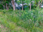 GFUN – Inspektionsrundtur 2014